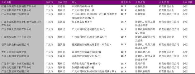 广元市电脑软硬件零售公司名录2018版102家